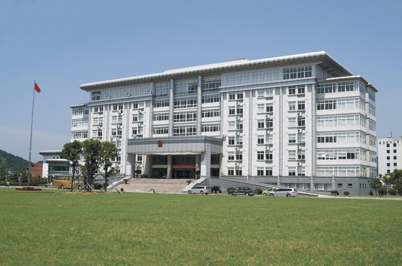 Government in Yiwu