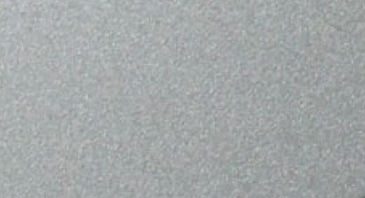 AP616 silver champagne